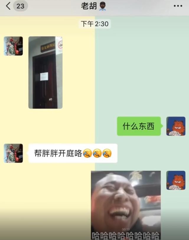 边牧：作为一只狗我怎么都没想到我能被人告上法庭