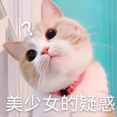 猫咪肠胃不好吃什么猫粮比较好？